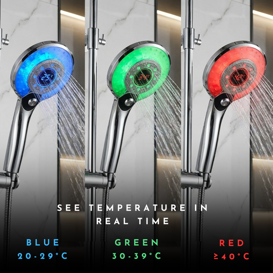 SmartFlow Temperature Shower Head