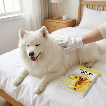 Instant Pet Cleaning Gloves