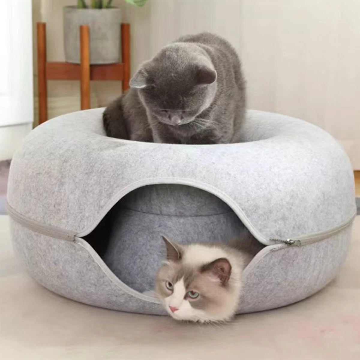 3-in-1 Tunnel Donut Cat Bed – Play, Sleep & Scratch in One Cozy Spot