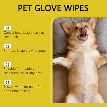 Instant Pet Cleaning Gloves – No Water, No Mess, Just Clean