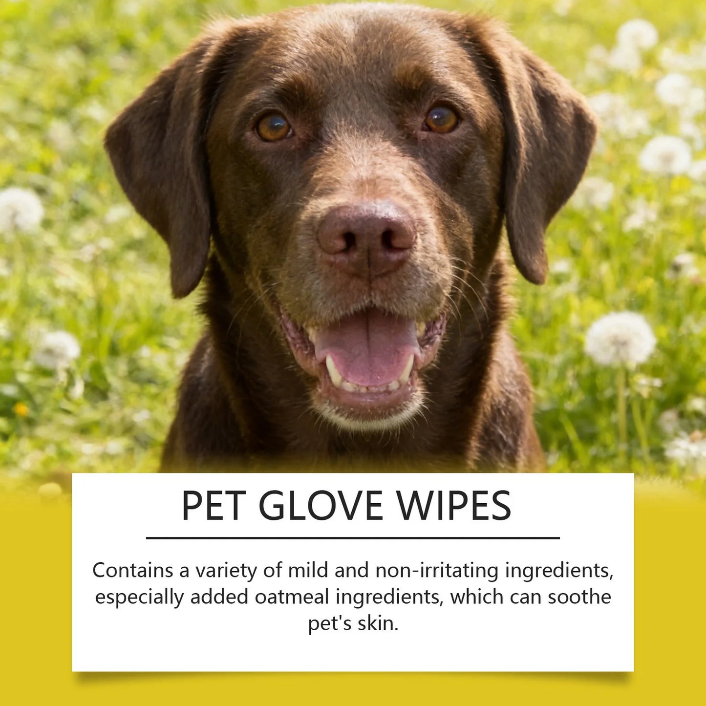 Instant Pet Cleaning Gloves – No Water, No Mess, Just Clean